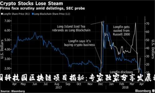中国科技园区块链项目揭秘：专家独家分享发展秘诀