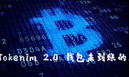 专家独家揭秘：Tokenim 2.0 钱包未到账的原因与解决秘诀