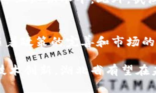 湖北省在区块链技术的布局上非常积极，涵盖了多个方面从政策支持到行业应用，都在持续推进。下面我们将详细探讨湖北省在区块链方面的主要布局。

一、政策支持
湖北省政府对区块链技术的重视体现在一系列政策文件中。省内多地，尤其是武汉市，出台了一系列鼓励区块链发展的政策。例如，武汉市政府在2019年就发布了《武汉市区块链产业发展规划（2019-2023年）》，这份规划明确了区块链技术在金融、供应链、智慧城市等领域的应用目标，并设定了相应的实施步骤和资金支持。

二、产业基地与研究机构
武汉作为湖北省的省会，已经形成了以区块链为核心的新兴产业集聚区。武汉东湖新技术开发区被认定为国家级高新区，吸引了大量区块链企业和初创公司的入驻。同时，湖北省内多所高校和研究机构也在积极开展区块链相关的研究与教育，比如武汉大学、华中科技大学等，均设有区块链相关课程和实验室。

三、区块链企业
湖北省内涌现出了一批优秀的区块链企业，涵盖了金融、物流、医疗、教育等多个行业。例如，专注于供应链金融的区块链公司，利用技术提升资金流动的效率，还有一些企业致力于用区块链技术提升食品安全追溯能力。这些企业不仅推动了地方经济的发展，也在全国范围内带来了影响。

四、应用场景
根据湖北省政府和相关企业的实际应用，区块链技术的应用场景已经开始逐步落地。比如在医疗健康领域，湖北省在推进基于区块链的电子病历和健康档案系统，能够更好地保护患者隐私并提升信息共享的效率。在教育领域，区块链技术也被用来验证学历证书的真伪，防止伪造和篡改。

五、国际合作
随着区块链技术的全球化发展，湖北省也在积极寻求国际合作。例如，武汉市通过引进国外先进技术和投资，推动区块链领军企业的孵化。同时，湖北省还参与了一些国际区块链推动组织的活动，借此提高自身话语权和影响力。

六、人才培养
人才是区块链产业发展的关键。湖北省在这一方面也进行了多项努力。通过校企合作、举办行业峰会、技能大赛等方式，激发学生和从业者的兴趣，提高专业知识水平。此外，武汉市还开展了大规模的区块链技术培训课程，为行业输送更多的创新和应用能力。

七、未来展望
展望未来，湖北省的区块链布局将可能会更加多元化。在已经取得的进展基础上，未来会在更多的行业深度融合，比如传统制造业、环保产业等。同时，随着政策的完善和市场的成熟，区块链技术将在推动地方经济结构升级上发挥更大的作用。

总的来说，湖北省在区块链的布局上取得了显著成绩，并在不断深化应用，同时也面临着管理、技术和人才等各方面的挑战。通过进一步的政策引导和技术创新，湖北省有望在未来的区块链发展中继续走在前列。