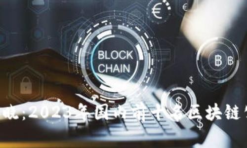 区块链专家揭晓：2023年国内前十名区块链公司独家秘笈！