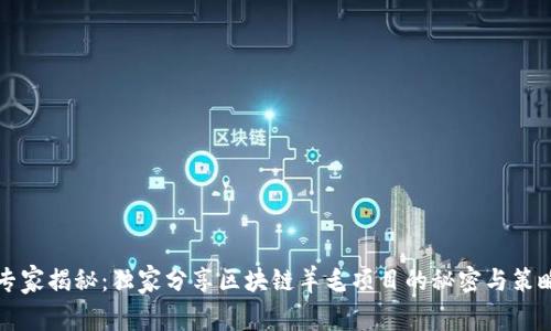 专家揭秘：独家分享区块链羊毛项目的秘密与策略