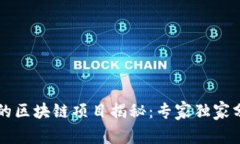 高瓴资本投资的区块链项目揭秘：专家独家分析