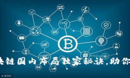 专家解析：区块链国内布局独家秘诀，助你抓住行业机遇