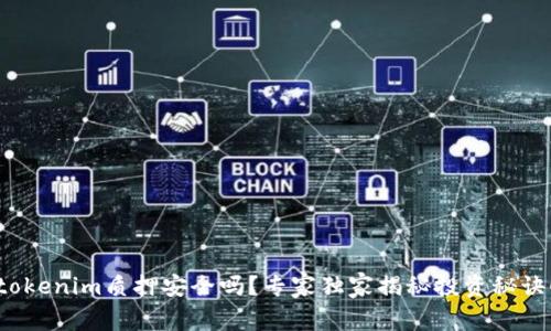 tokenim质押安全吗？专家独家揭秘投资秘诀！