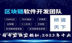 区块链铸造公司专家独家揭秘：2023年十大热门品