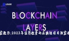 区块链专家教你：2023年值得投资的区块链项目独