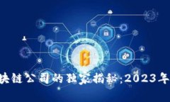 深圳A轮区块链公司的独家揭秘：2023年的投资秘诀