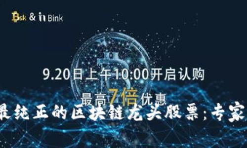 揭秘2023年最纯正的区块链龙头股票：专家独家推荐秘诀