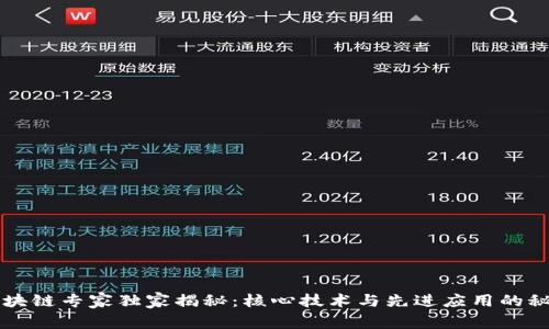 区块链专家独家揭秘：核心技术与先进应用的秘诀