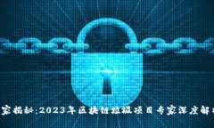 独家揭秘：2023年区块链垃圾项目专家深度解析！