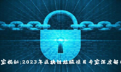 独家揭秘：2023年区块链垃圾项目专家深度解析！