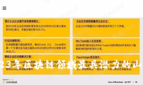 专家揭秘：2023年区块链领域最具潜力的山寨币独家揭秘