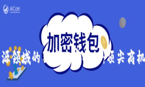 区块链新能源领域的独家专家揭秘：顶尖商机与投资秘诀