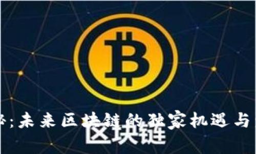 专家揭秘：未来区块链的独家机遇与发展秘诀