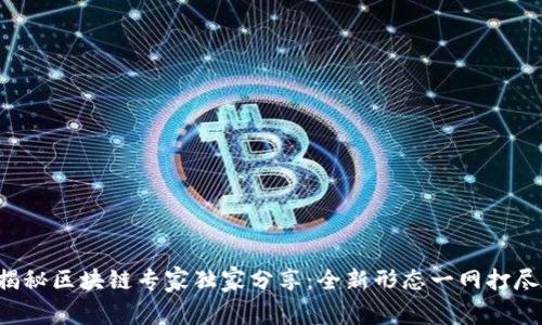 揭秘区块链专家独家分享：全新形态一网打尽！