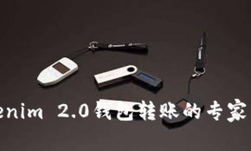 使用Tokenim 2.0钱包转账的专家独家秘诀
