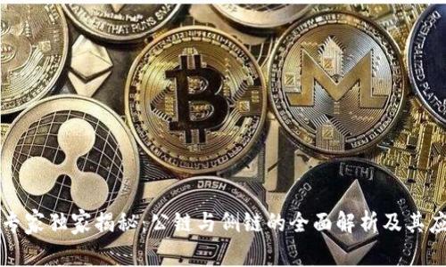 区块链专家独家揭秘：公链与侧链的全面解析及其应用秘诀