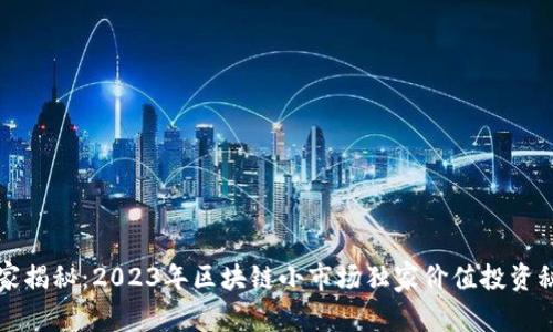 专家揭秘：2023年区块链小市场独家价值投资秘诀