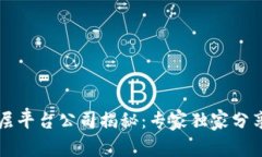 区块链底层平台公司揭秘：专家独家分享行业秘