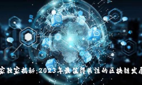 区块链专家独家揭秘：2023年最值得关注的区块链发展趋势秘诀