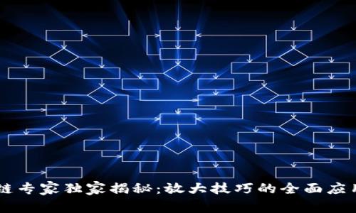 区块链专家独家揭秘：放大技巧的全面应用秘笈