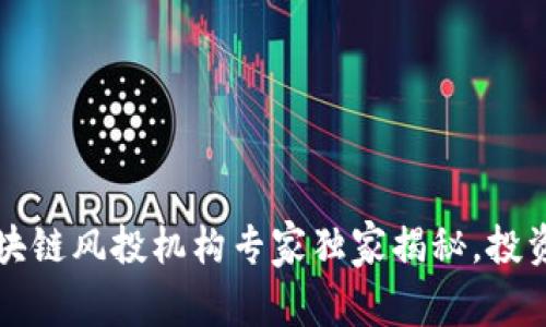 2023年度区块链风投机构专家独家揭秘，投资秘诀大公开！