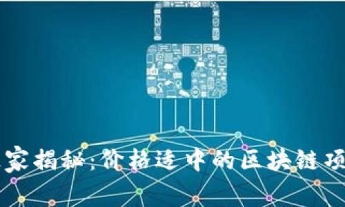 专家独家揭秘：价格适中的区块链项目推荐