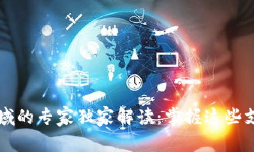 区块链支付领域的专家独家解读：掌握这些支付类型的秘诀