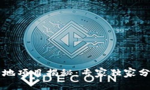 区块链技术落地项目揭秘：专家独家分析与实用秘诀