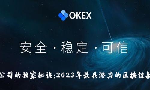 揭秘区块链航空公司的独家秘诀：2023年最具潜力的区块链航空公司专家推荐