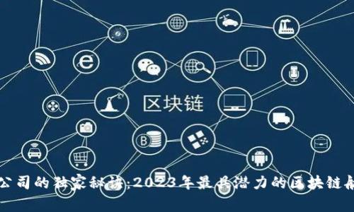 揭秘区块链航空公司的独家秘诀：2023年最具潜力的区块链航空公司专家推荐