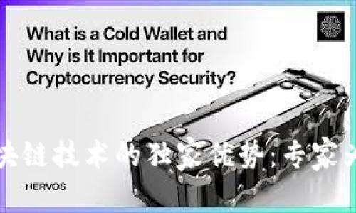 揭秘区块链技术的独家优势：专家为你解析