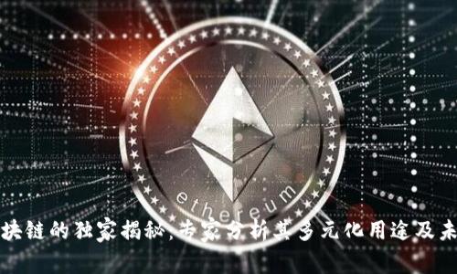 蚂蚁区块链的独家揭秘：专家分析其多元化用途及未来方向