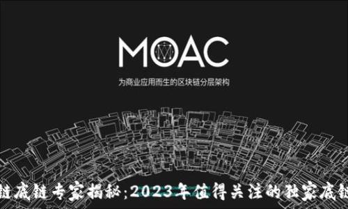   
国内区块链底链专家揭秘：2023年值得关注的独家底链项目秘诀