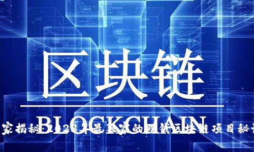 专家揭秘：2023年最独家的赚钱区块链项目秘诀！