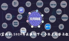专家独家揭秘：2024年区块链下一个热点趋势与投