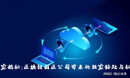 专家揭秘：区块链园区公司带来的独家好处与秘诀