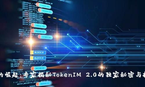 山寨币的崛起：专家揭秘TokenIM 2.0的独家秘密与投资秘诀
