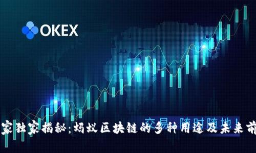 专家独家揭秘：蚂蚁区块链的多种用途及未来前景