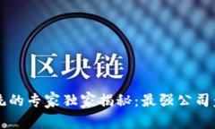区块链授权系统的专家独家揭秘：最强公司盘点