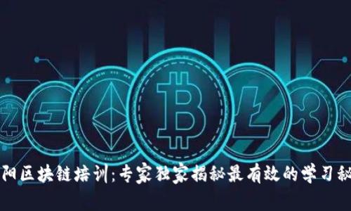 阜阳区块链培训：专家独家揭秘最有效的学习秘诀