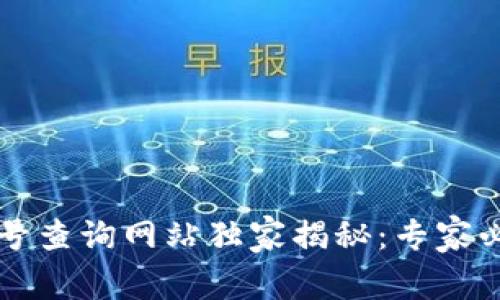 区块链号查询网站独家揭秘：专家必看秘诀