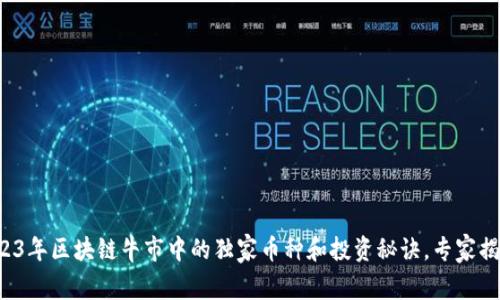2023年区块链牛市中的独家币种和投资秘诀，专家揭秘！