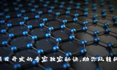 区块链项目开发的专家独家秘诀，助你玩转科技