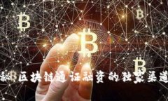 专家揭秘：区块链通证融资的独家渠道与秘诀