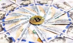 专家揭秘：区块链跨链查询系统的独特秘诀