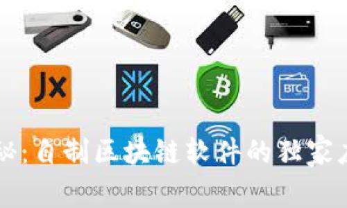 专家揭秘：自制区块链软件的独家应用秘诀