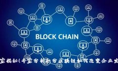 独家揭秘！专家分析积分区块链如何改变企业发