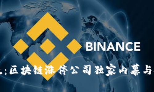 专家揭晓：区块链涨停公司独家内幕与投资秘诀