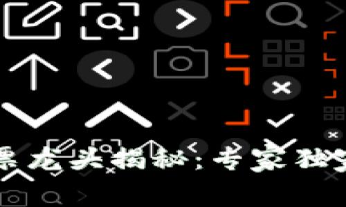 区块链领域的股票龙头揭秘：专家独家分享的投资秘诀